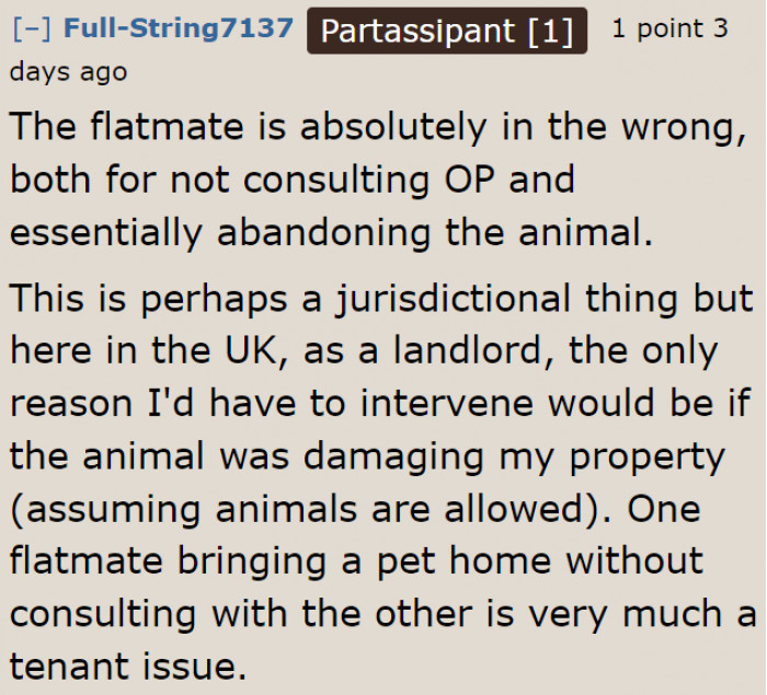 Maybe the property owner can do something about this.