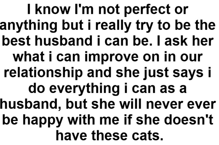 This is when we gain insight into how important these cats are to her and how she truly feels.