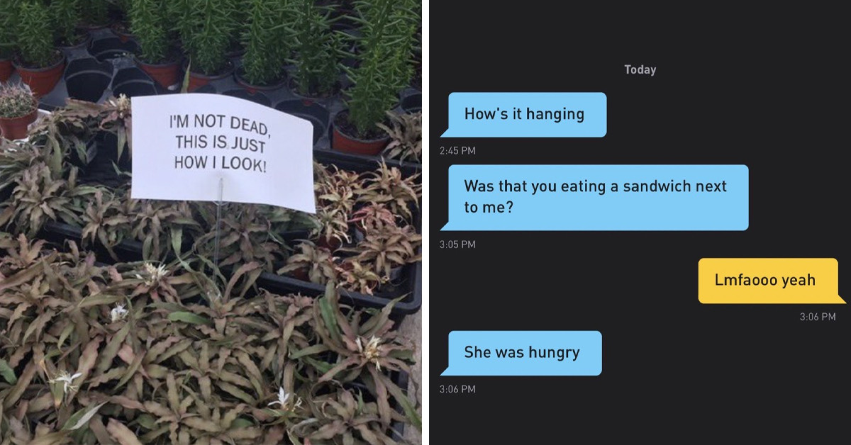 Here We Are With More Hysterical Messages That Went Totally Viral