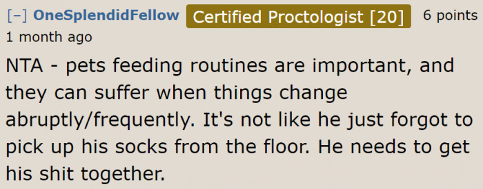A few users didn't like that the boyfriend didn't follow the cat's routine.