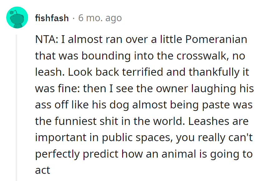 Dodged a Pomeranian speed bump in a crosswalk—leashes, the unsung heroes of doggy stand-up comedy.