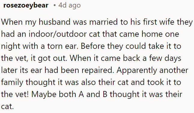 Both families may have believed the cat was theirs.