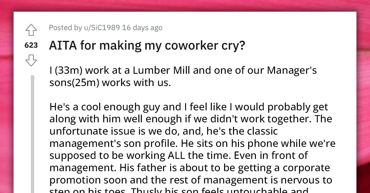 Man Asks Reddit Community If He Was Wrong for Yelling and Making His Coworker Cry