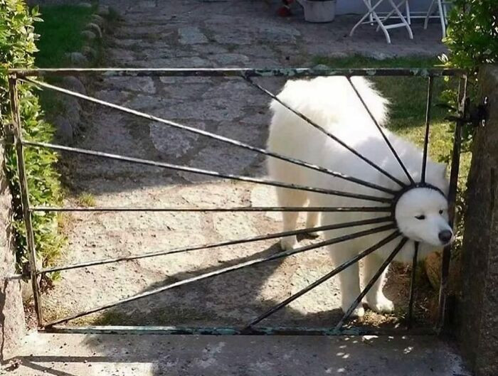 21. Street Picture Taken By Jack Dorenman