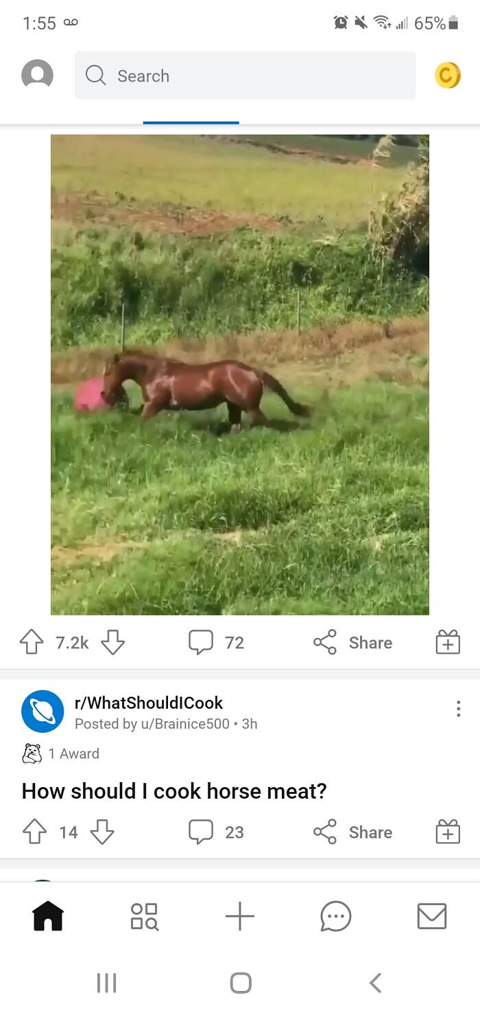 "Cool Reddit"