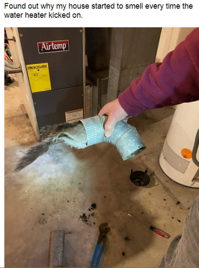 8. When you've perceived something no one should ever smell