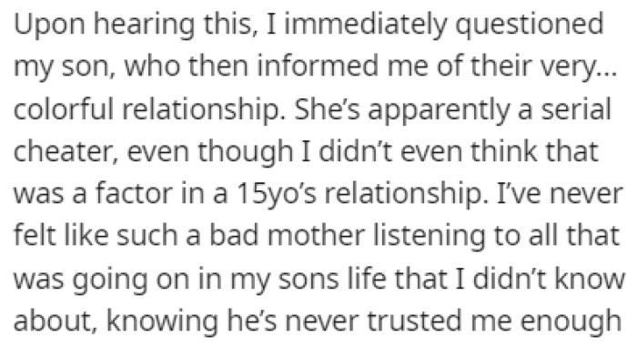 OP Questioned Her Son About His Relationship, and It Turned Out That She'd Been Cheating on Him