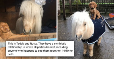 16 Tweets Reminding Us That There Are Still Beautiful Things In This World