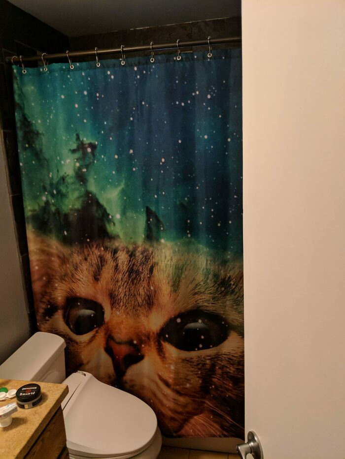 "My Wife Barred Me From Drunken Ebay Purchases After I Bought A Shower Curtain"