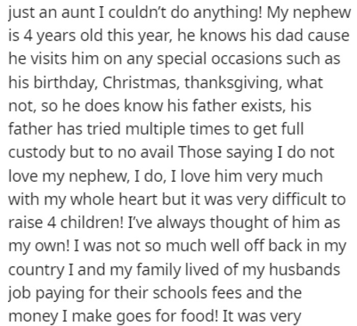 OP loves their nephew but raising four kids isn't easy