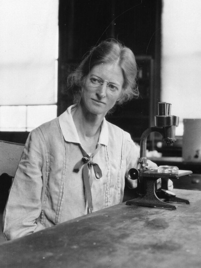 Alger Hayden