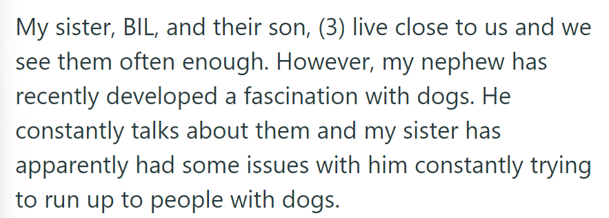 Their 3-year-old nephew nearby is obsessed with dogs, but his mom worries as he constantly tries to approach them.