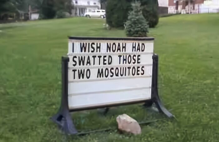 31. Noah and Mosquitoes