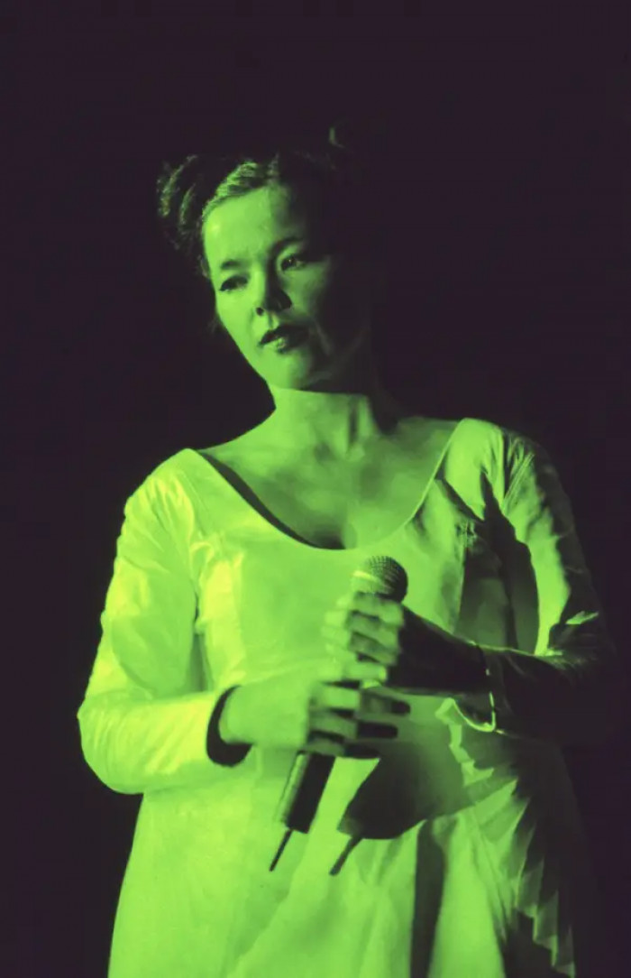 30. Björk