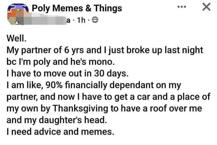 24. Advice and Memes, People