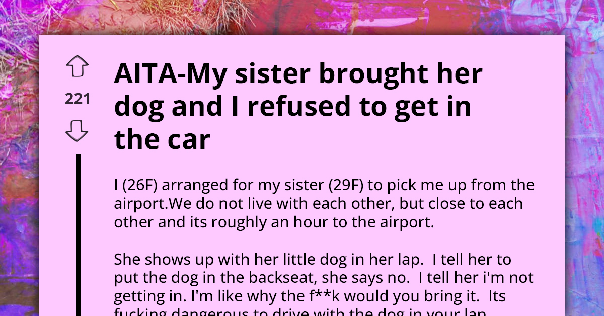 Woman Refuses Sister's Ride Due to Safety Concerns Over Dog in Driver's Lap, Gets Called Coward