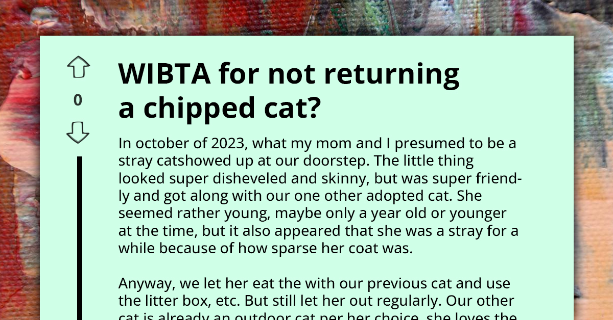 Person Refuses To Return Lost Cat After Eight Months Of Bonding With It