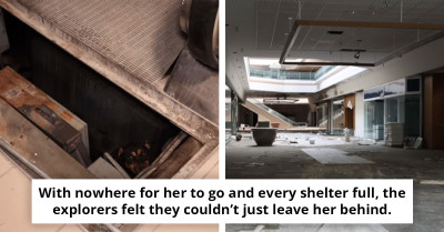 Viral Video Shows Moment Influencers Saved a Dog That Was Stuck Beneath an Escalator in an Abandoned Mall