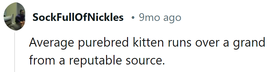 High-end kittens: the purr-ice of prestige.