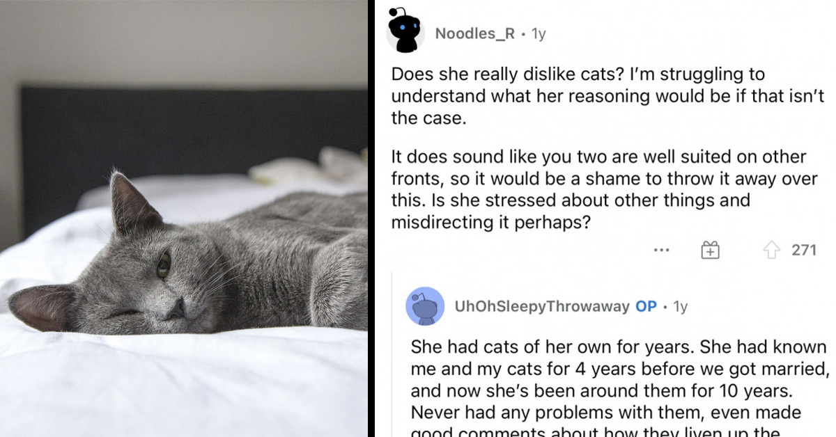 Man Stays Up All Night to Catch His Wife Lying, and It’s Worse Than He Thought - She Tried to Manipulate Him into Kicking Out Their Cats