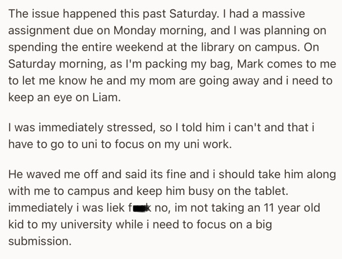 OP had an upcoming project to submit, but was frustrated after Mark asked him to babysit Liam since they would be away