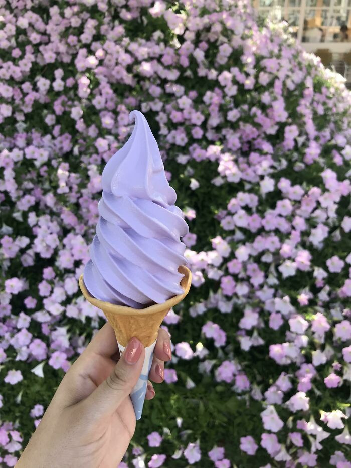 Creamy Wysteria Flavored Ice Cream