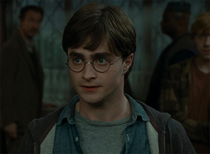 Harry Potter - Harry Potter Movie Series
