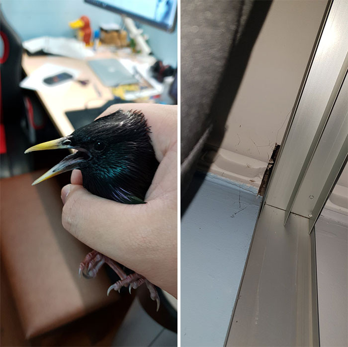 We hope that was good omen.