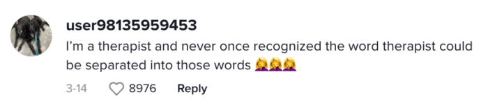 Consensus among commenters is that the therapist's username is highly unfortunate, with the word itself being the primary cause of concern