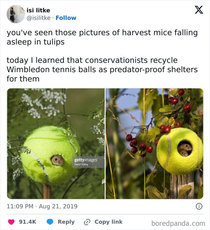 23. Blessed Shelters