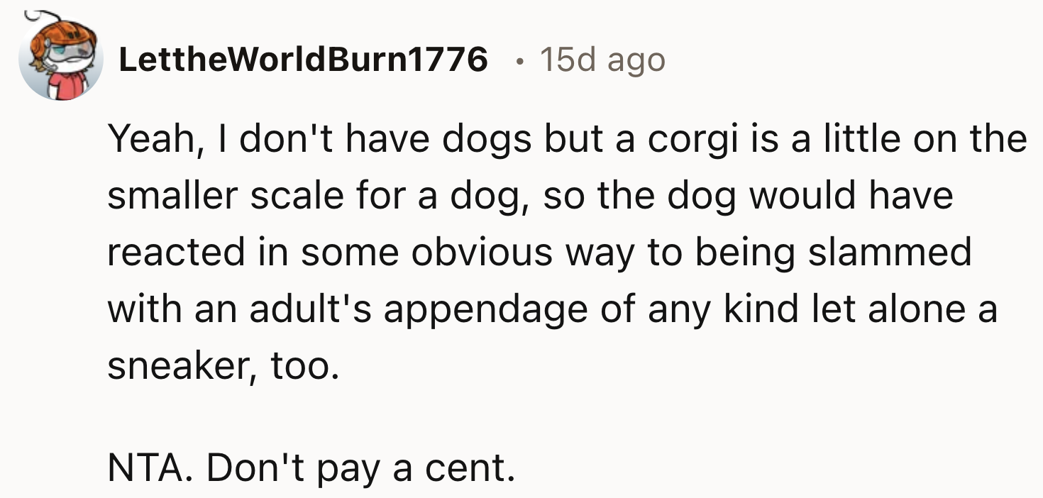 Corgis Are Small Dogs