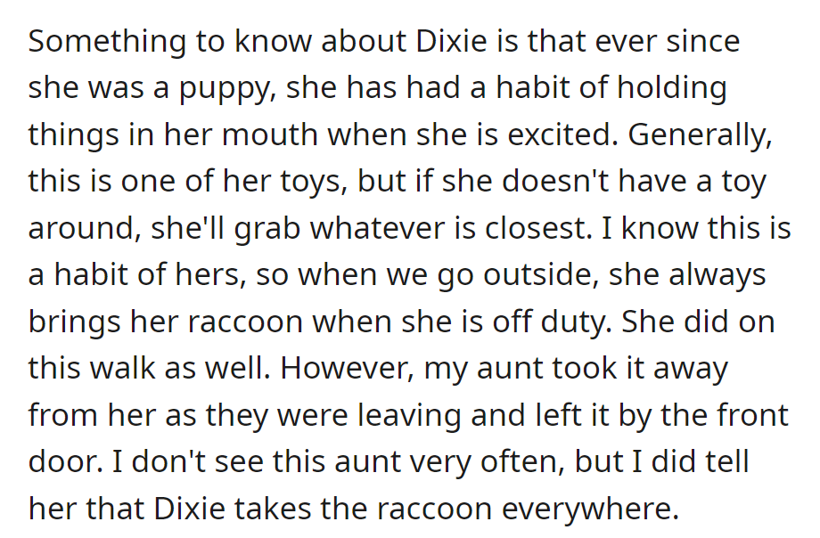 Dixie always carries her toy raccoon when excited. Despite OP's explanation, the aunt took it away during their walk.