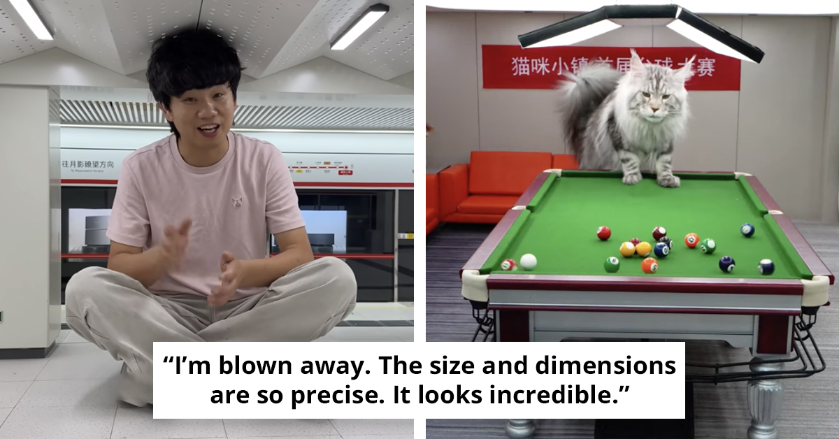 This YouTuber Built A Mini City Just For His Cats