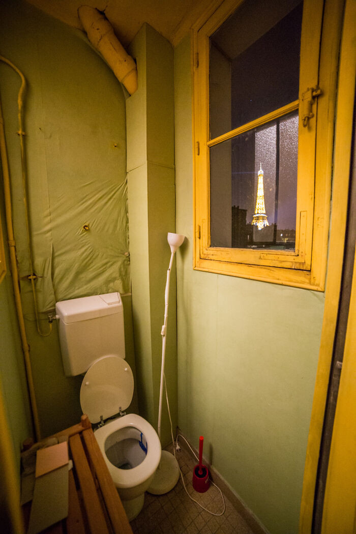 5. Would you pay to have this pooping experience?