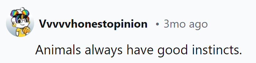 Animals' instincts are always spot on.