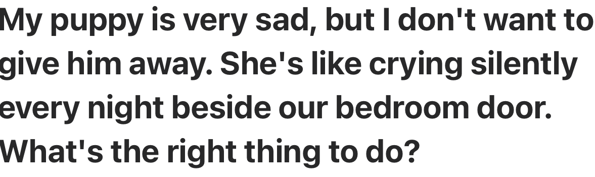 This dog parent is in a dilemma over their sobbing dog