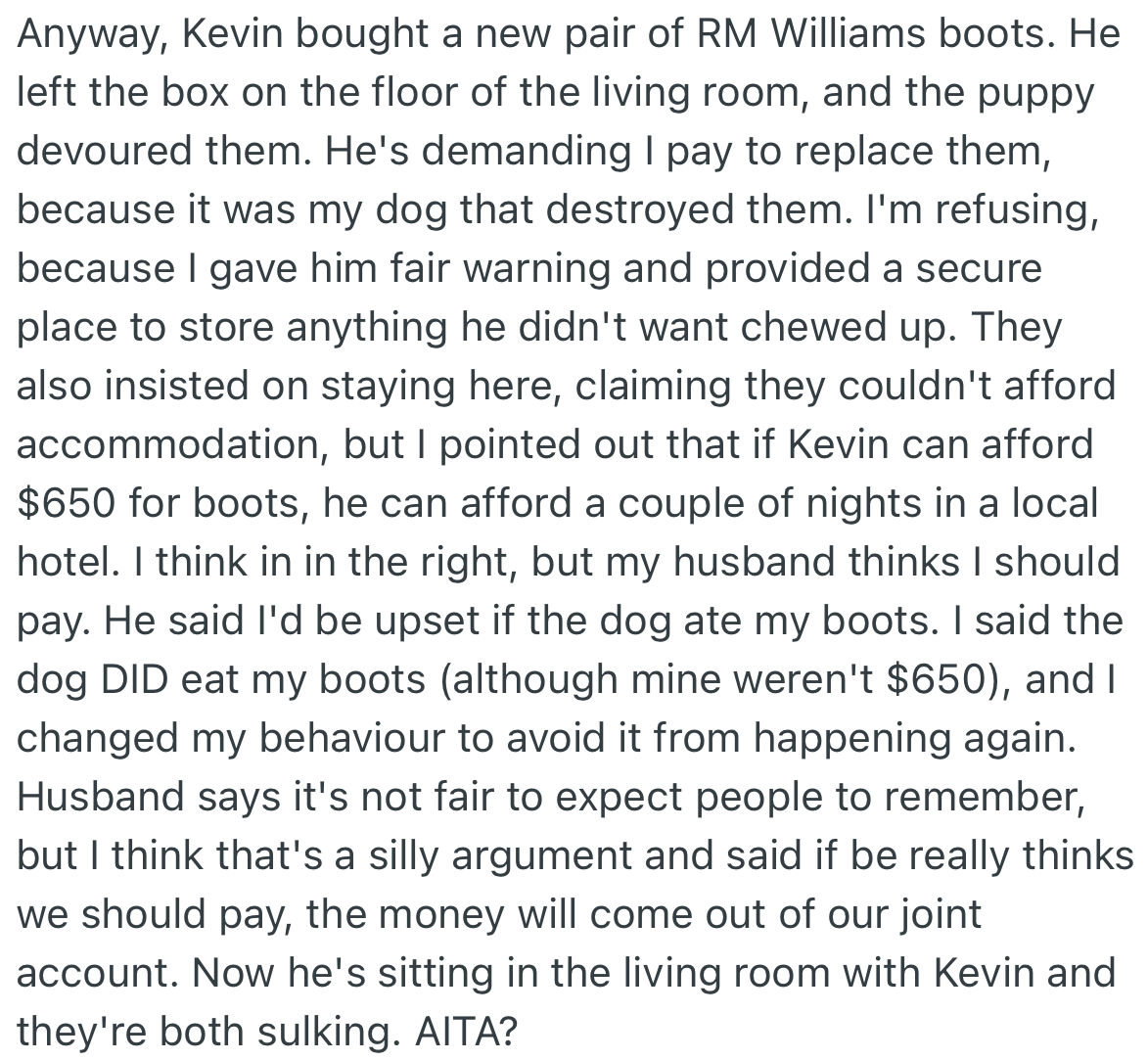 Unfortunately, OP’s BIL accidentally left his expensive boots on the floor and the puppy ate them. Consequently, he demanded compensation from OP, which she refused to agree to
