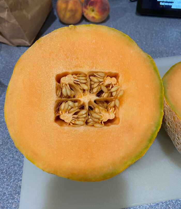 22. He cut into a cantaloupe, and the inside was square.