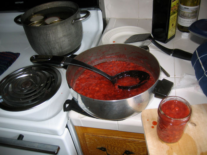 Lying about jam was the reason why this person had a flourishing academic career