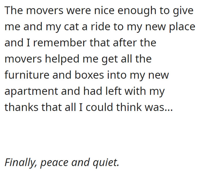 The movers provided a ride to the new place, and as the last box was brought in, OP looked forward to the peace and quiet of their new home.