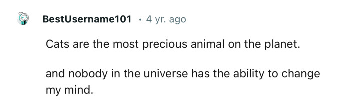 When you fall in love with a cat, it’s for life! They’re the most precious animals on the planet