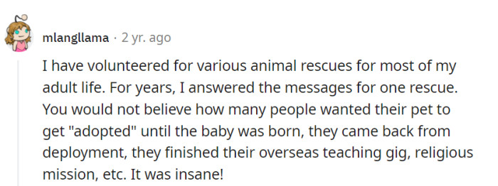 Volunteering at animal rescues, they couldn't help but chuckle at how pets became 