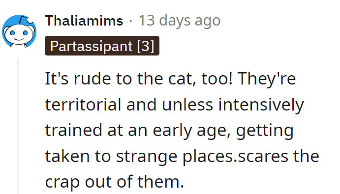 Cats aren't fans of impromptu outings. They'd rather rule their domain in peace!