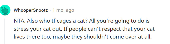 If visitors cannot respect your cat's presence and comfort in your home, it may be worth reevaluating their impact on your cat's environment and considering alternatives for socializing.