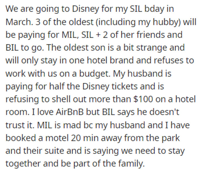 The Whole Family is Going to Disneyland for the Sister-in-Law's Birthday