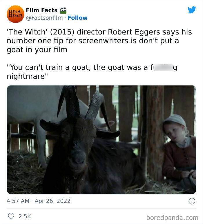 7. The movie The Witch