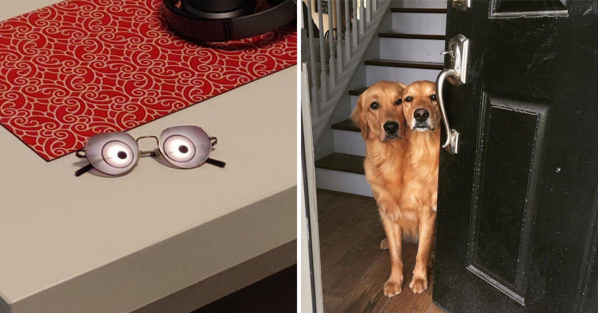 50 Accidental Optical Illusions That Are As Mind-Boggling As They Are Funny