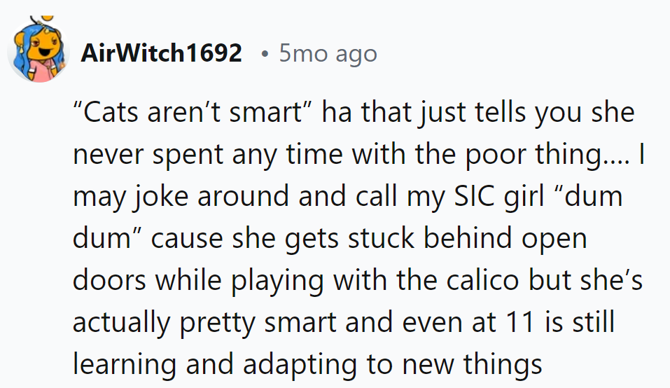 Claiming cats aren't smart? Clearly, they haven't met her 'dum dum' SIC girl!