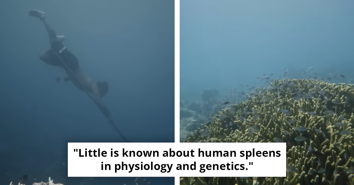 Mutated Tribe Develops 'Sea Nomad Gene' To Dive To Ocean's Depths