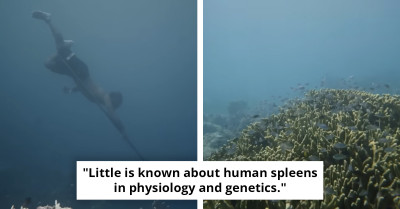Mutated Tribe Develops 'Sea Nomad Gene' To Dive To Ocean's Depths